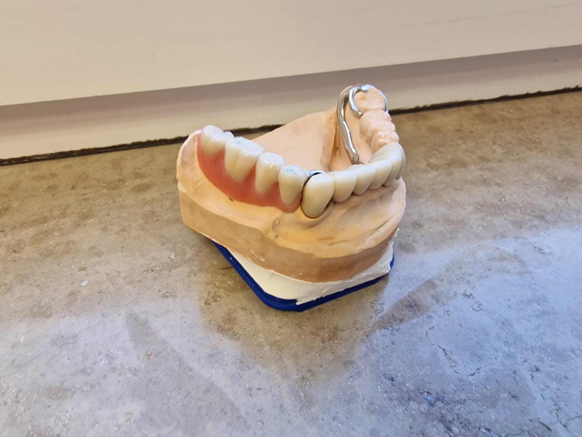 gallery image 14